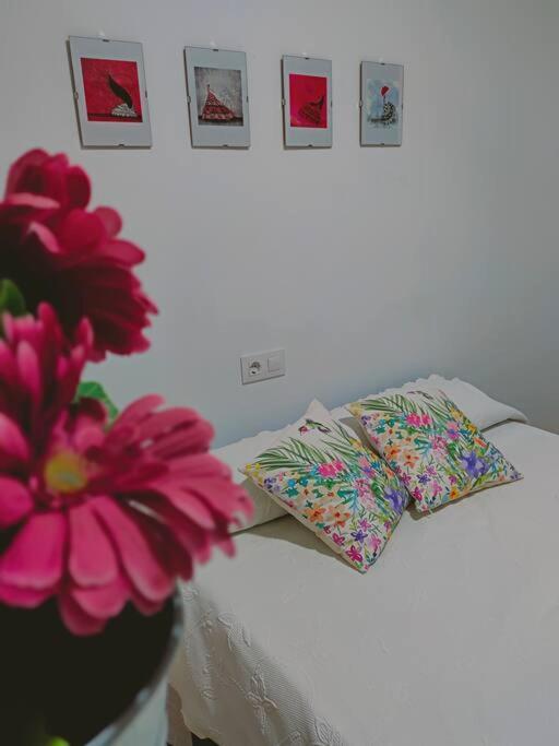 Apartamento Acerota, Con Parking Gratuito Kordoba Zewnętrze zdjęcie